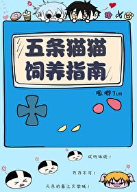 五条猫猫饲养指南在线看